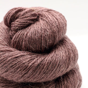 John Arbor | Exmoor Sock | Blueface Sock Yarn, Colour: Bibble Bug, Hard-wearing sock yarn with Exmoor Blueface, Corriedale & nylon. Soft, bouncy & perfect knitting wool UK for socks, garments & colourwork, Knit With Me