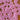 15mm Pink Rabbit Buttons (L8)__Knit With Me