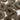 Pattern of brown buttons on a white background