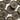 25mm Dusty brown smooth matt button (B3) - Knit With Me