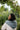 52 Weeks of One-Skein Knits | Laine Pre-Order in option at Knit With Me yarn shop