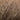 Camarose | Snefnug – Light, Soft Alpaca & Cotton Yarn, Color: 7319 LYSEBRUN, Express your colour style with Snefnug’s baby alpaca, cotton, and merino blend. Light, soft yarn for handknit sweaters, vests, and accessories., Knit With Me