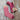 Ainsworth & Prin Flower Yarn Knitting Kit with pink sock and skeins, featuring Classic Sock base inspired by seasonal flowers.