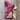 Flower Yarn Knitting Kits by Ainsworth & Prin, featuring classic sock skeins in pink and cream hues, tied with a purple ribbon.