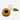 Lantern Moon Crochet Tape Measure, Style: Happy Sunflower, These hand crocheted tape measures from Lantern Moon are a great way to add a bit of fun to your notions kit without losing out on functionality. Metric and English measurements are shown on oppos