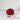 De Rerum Natura | Ulysse | Sport Weight Yarn, Colour: Pavot, Ulysse sport weight eco-friendly merino wool yarn – ideal for fair isle, lace & cables. Natural, sustainable knitting wool UK., Knit With Me