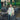 Amirisu - Assemblage Vol. 1 | Pre-Order , , Amirisu Assemblage Vol. 1 is a knitting book with 12 knitwear patterns inspired by gardens. An excellent knitting book gift or knitting present, Knit With Me