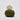 Cardiff Cashmere Classic | Sport / DK Yarn yarn ball in 543 Jungle colour with simple background