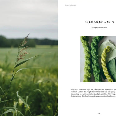 Dyeing Naturally Book – Emma Kylmälä | Natural Dye Guide,Discover natural dyeing with Emma Kylmälä’s book! Learn to use plants for yarn, textiles & inks. Eco-friendly, inspiring & beautifully illustrated guide.