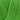 Onion | Organic Cotton | Soft, Washable Cotton Yarn, Colour: 120 Grass Green, Knit or crochet with Onion Organic Cotton—lightweight, eco-friendly, and machine washable. Sport weight, great stitch definition, and perfect for all seasons!, Knit With Me