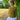 Hope Sweater Kit | Elenor Mortensen + Ainsworth & Prin in option at Knit With Me yarn shop