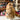 Inkari Stuffed Alpaca Animals in Large 50cm Sahara 111 option at Knit With Me yarn shop