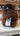 Inkari Stuffed Alpaca Animals in Small 23cm Natural Walnut (63) option at Knit With Me yarn shop