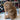 Inkari Stuffed Alpaca Animals, Style: Large 50cm Monsterfluff Sandstone (2), Words cannot do justice to how adorable, and incredibly soft, these stuffed Alpaca Animals are. You really need to have a feel to believe. Our Alpacas come in three sizes, SMall,