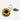 Lantern Moon Crochet Tape Measure, Style: Happy Sunflower, These hand crocheted tape measures from Lantern Moon are a great way to add a bit of fun to your notions kit without losing out on functionality. Metric and English measurements are shown on oppos