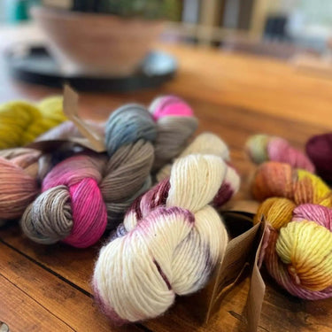 Group of Maxima yarn by Manos del Uruguay Knit With Me yarn shop