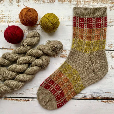 Pre-Order Colour Swatch Sock Kit Warm in option at Knit With Me yarn shop