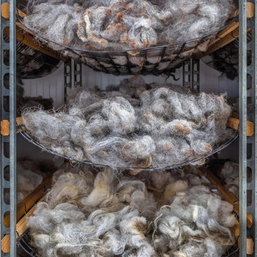 A Knitter's Guide: Diverse British sheep wool on display showcasing the variety and richness of pure breed fibers.