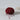 Ulysse Yarn | De Rerum Natura (Sport Weight) in Aubepine colour at Knit With Me yarn shop