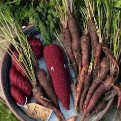 TOFT | Alexandra’s Garden Veg | Crochet Pattern Book, , Crochet 30 adorable vegetables with TOFT’s Alexandra’s Garden book. A fun UK gift for makers—perfect for seasonal craft & amigurumi fans., Knit With Me