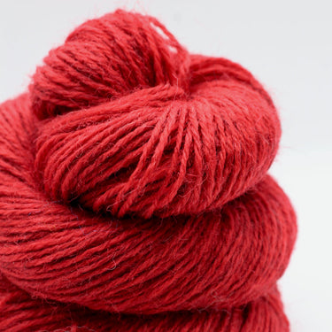 John Arbor | Exmoor Sock | Blueface Sock Yarn, Colour: Peggles, Hard-wearing sock yarn with Exmoor Blueface, Corriedale & nylon. Soft, bouncy & perfect knitting wool UK for socks, garments & colourwork, Knit With Me