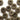 Pattern of brown buttons on a white background