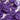 Close-up of purple buttons with a glittery finish on a white background