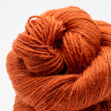 John Arbor | Exmoor Sock | Blueface Sock Yarn, Colour: Quickbeam, Hard-wearing sock yarn with Exmoor Blueface, Corriedale & nylon. Soft, bouncy & perfect knitting wool UK for socks, garments & colourwork, Knit With Me