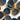 Collection of blue buttons with brownish edges on a white background