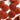 20mm Tomato Red Matt Buttons (L4) in option at Knit With Me yarn shop