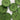22mm green eco textured buttons (D9) - Knit With Me