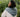 52 Weeks of One-Skein Knits | Laine Pre-Order in option at Knit With Me yarn shop