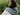 52 Weeks of One-Skein Knits | Laine Pre-Order in option at Knit With Me yarn shop