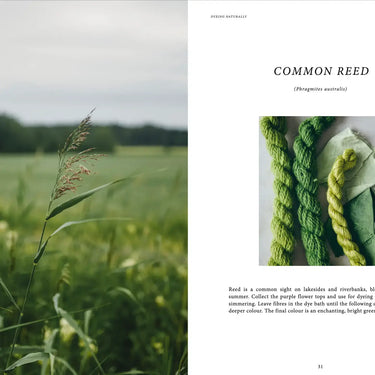 Dyeing Naturally Book – Emma Kylmälä | Natural Dye Guide,Discover natural dyeing with Emma Kylmälä’s book! Learn to use plants for yarn, textiles & inks. Eco-friendly, inspiring & beautifully illustrated guide.