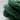 Close-up of green Yarnadelic Sport yarn made from 100% Falklands Corriedale wool, showcasing texture and quality.
