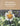 TOFT | Alexandra’s Garden Flowers Book | 30 Crochet Patterns, , Crochet 30 seasonal flowers with TOFT’s Alexandra’s Garden book. Includes patterns, tips & stunning photos—perfect UK gift for crafters., Knit With Me
