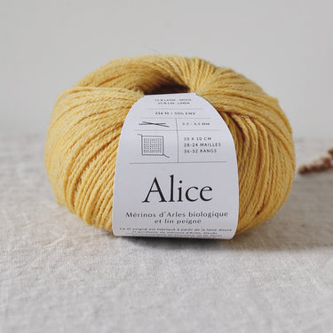 Alice by De Rerum Natura in moisson colour at Knit With Me yarn shop