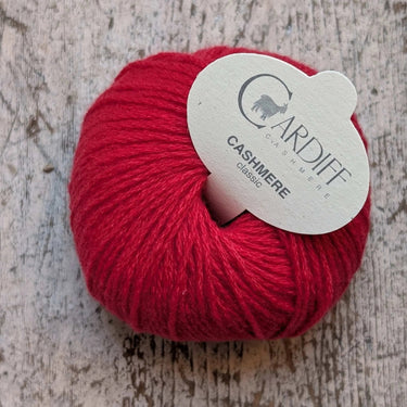 Cardiff Cashmere Classic | Sport / DK Yarn yarn ball in 564 GERBERA colour with simple background