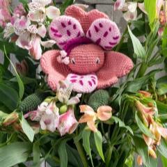 TOFT | Alexandra’s Garden Flowers Book | 30 Crochet Patterns, , Crochet 30 seasonal flowers with TOFT’s Alexandra’s Garden book. Includes patterns, tips & stunning photos—perfect UK gift for crafters., Knit With Me