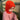 Everyday Balaclava | PetiteKnit | Printed Pattern in option at Knit With Me yarn shop