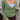 Lucy Wrap | PetiteKnit | Printed Pattern in green at Knit With Me yarn shop