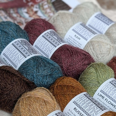 Norah Sock Kit by Marie Wallin - Knit With Me