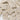 Scattered labels with text saying This is the back on a white background
