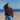 Shorelines | Rebecca Crowe PRE-ORDER in option at Knit With Me yarn shop