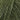 Silk & Kid Mohair Yarn | Onion in 3007 Green Olive option at Knit With Me yarn shop