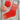 The Springtide Sock Kit Coral in option at Knit With Me yarn shop