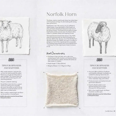 Illustration from A Knitter's Guide showing Norfolk Horn sheep and wool characteristics.