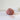Ulysse Yarn | De Rerum Natura (Sport Weight) in Argile colour at Knit With Me yarn shop