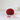 Ulysse Yarn | De Rerum Natura (Sport Weight) in Pavot colour at Knit With Me yarn shop