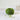 Ulysse Yarn | De Rerum Natura (Sport Weight) in Printemps colour at Knit With Me yarn shop